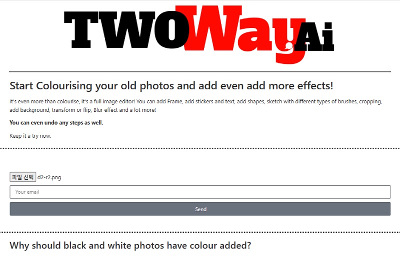 Colourise – TwoWay AI